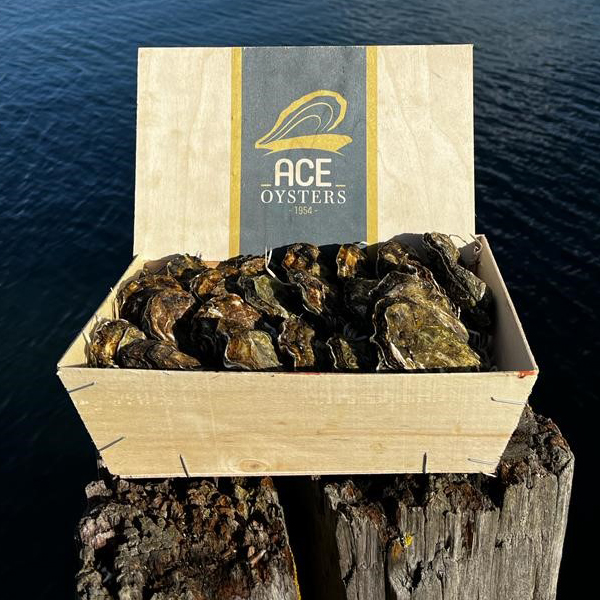 ACE oesters