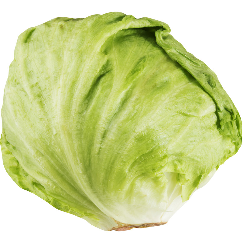 AH Iceberg lettuce