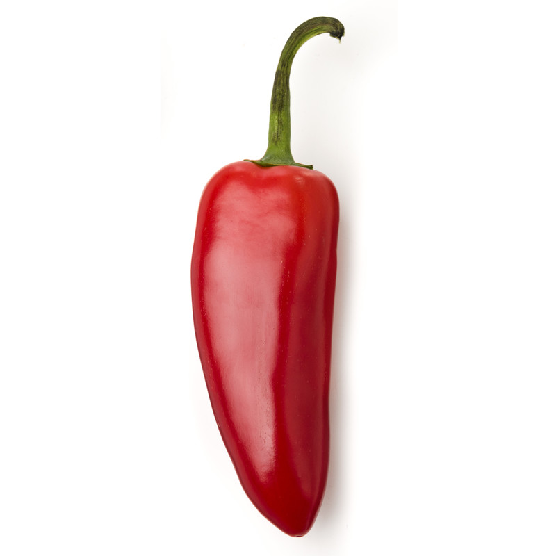 Jalapeño pepper red